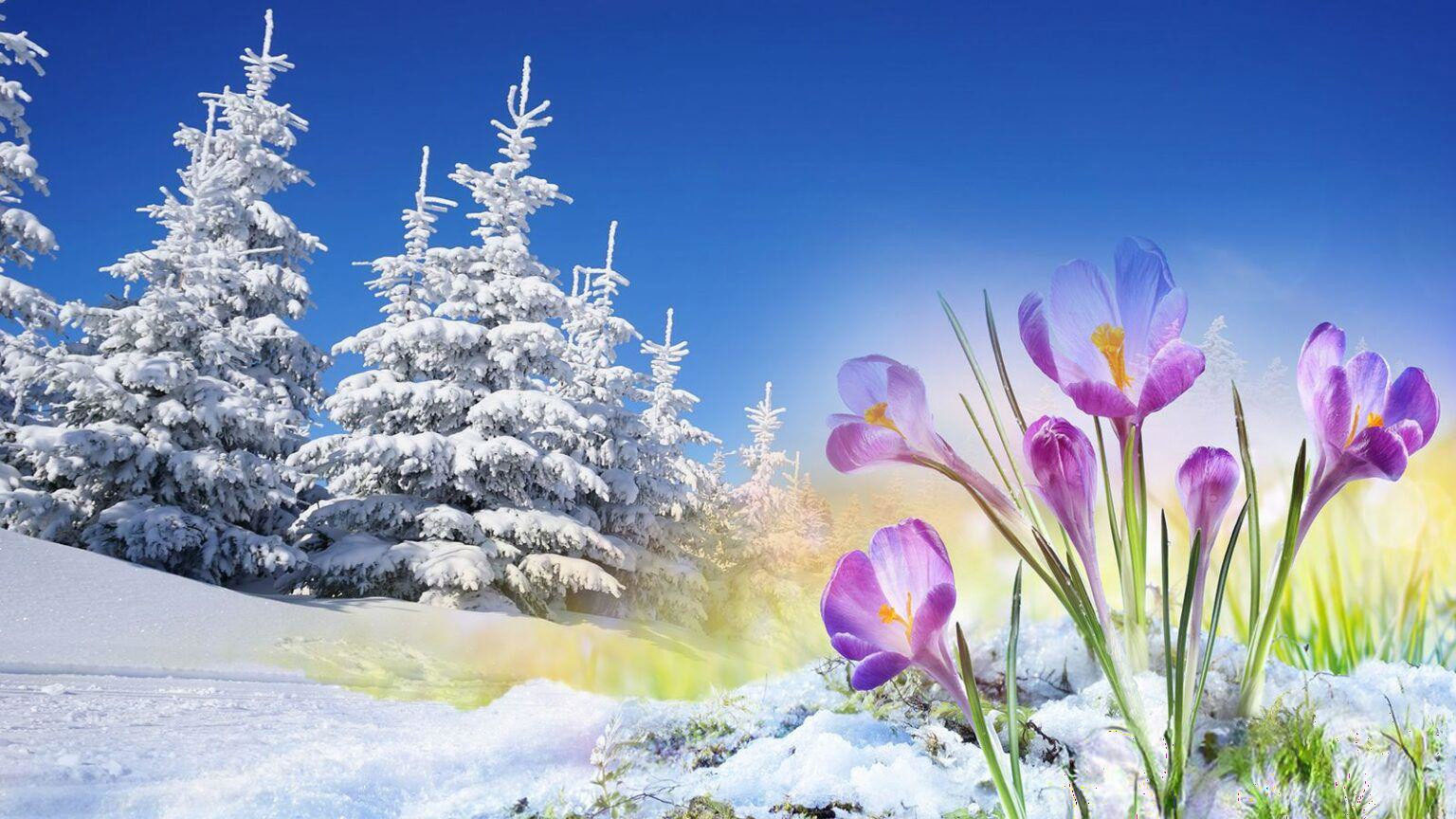 Primavera dinamica senza blocchi: Dove il meteo favorirà i frutteti già in pieno risveglio